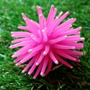 Rubber Hair Ball Pink(S)