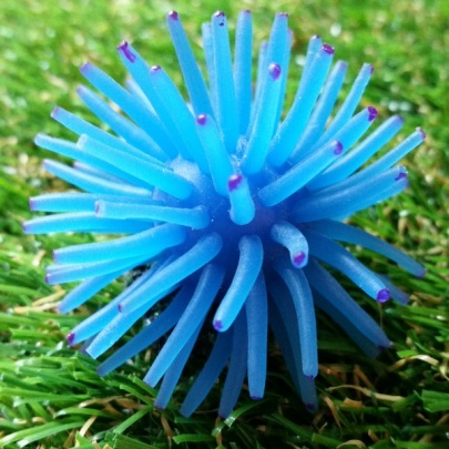 Rubber Hair Ball Blue(S)