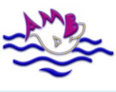 AMB Product